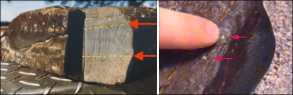 Laminated planks with nails