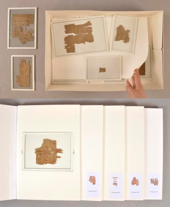 Papyri housings, before and after