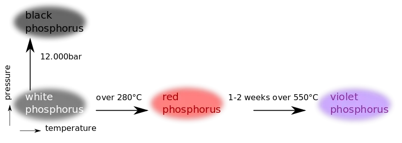 File:PhosphorusAllotropes.svg