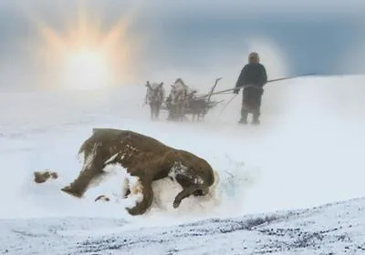 Baby Mammoth Found