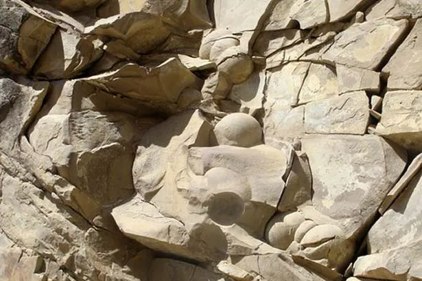 http://i2.mirror.co.uk/incoming/article798384.ece/ALTERNATES/s615/A+university+in+Russia's+Chechnya+claimed+today+to+have+found+an+unprecedented+stash+of+giant+fossilised+dinosaur+eggs+in+a+remote+mountainous+area+of+the+North+Caucasus+region