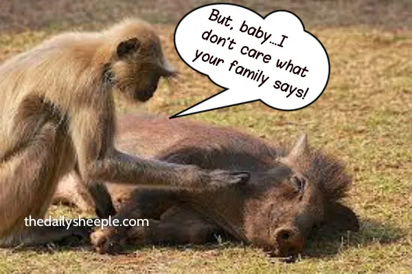 monkey pig