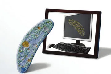 http://i.livescience.com/images/i/000/029/152/iFF/virtual-cell-illustration2-.jpg?1342805394