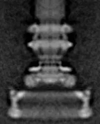 https://encrypted-tbn2.gstatic.com/images?q=tbn:ANd9GcQbouApQiX0cz9mOjNfqYOGWcwQJMZU4WUadibPZv961_SYyuGp