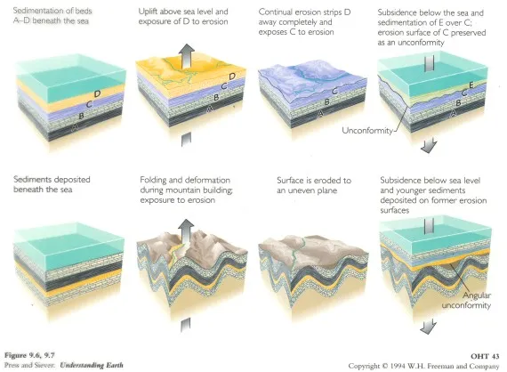 Formation of a Disconformity and an Angular Unconformity.